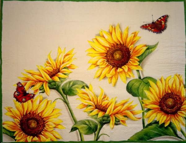 045 Sunflowers - 3-ply (cream) - Ihr